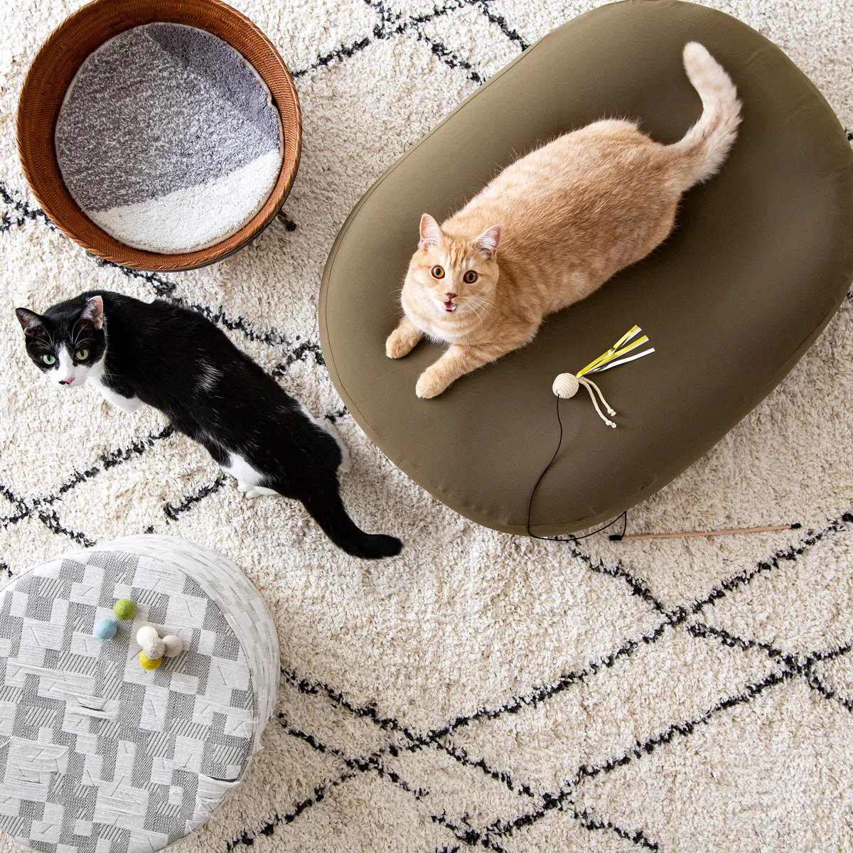 Product image 50