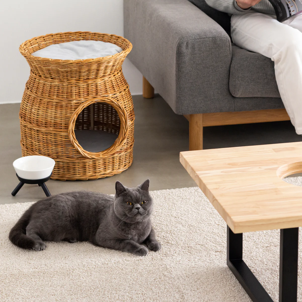 Product image 48